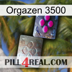 Orgazen 3500 38